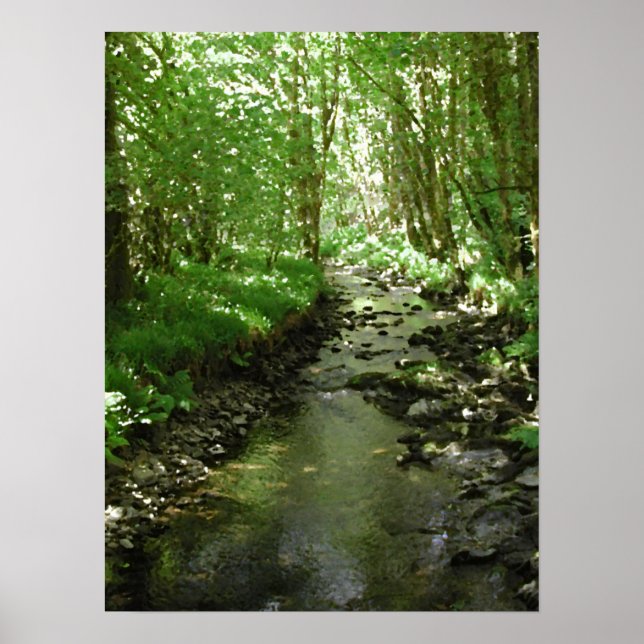 River flowing through woodland. poster (Front)