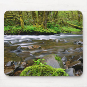 River in green forest, Oregon Mouse Mat