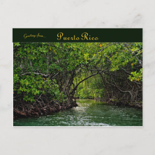 River in Puerto Rico Postcard