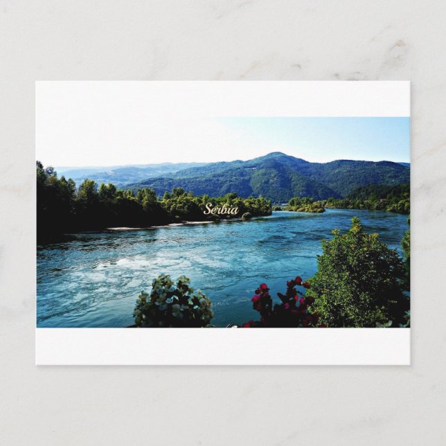River in Serbia Postcard (Front)