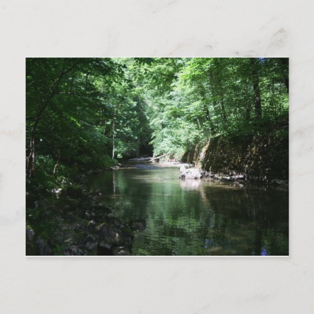 river in the forest croatia postcard (Front)