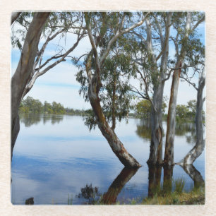 River Murray Australia Beauty Of The Gum Trees, Glass Coaster