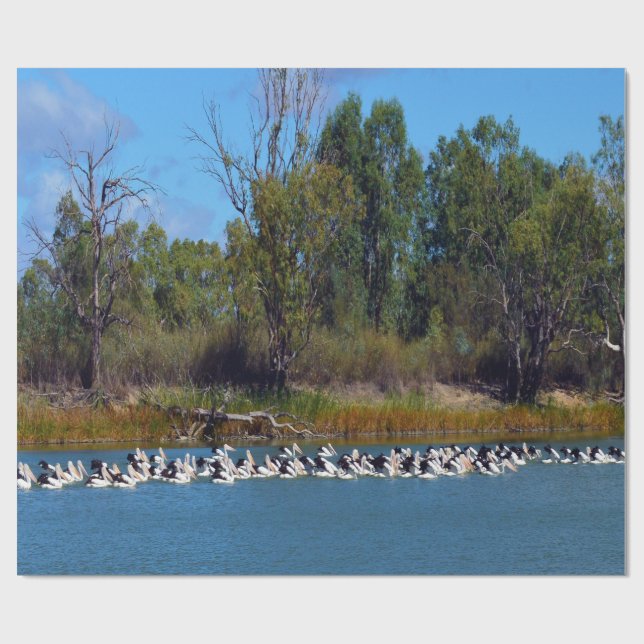 "River Murray's Fishermen: A Pelican Gathering" Wrapping Paper (Flat)