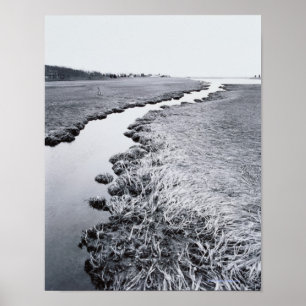 River Near Forest Poster