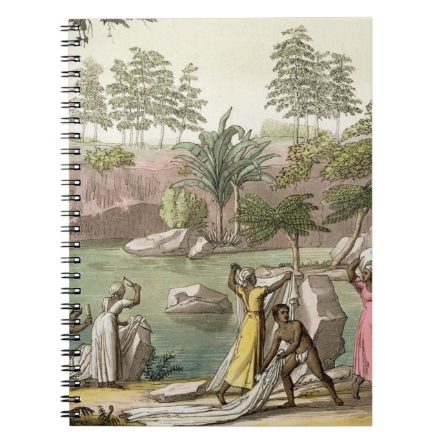 River near San Benedetto, Madagascar, plate 81 fro Notebook (Front)
