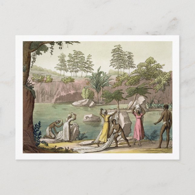 River near San Benedetto, Madagascar, plate 81 fro Postcard (Front)