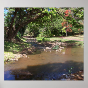 River of Serenity Poster