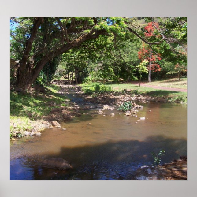 River of Serenity Poster (Front)