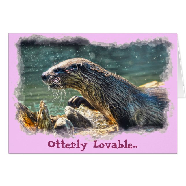 River Otter Animal-lover's Wildlife Photo (Front Horizontal)