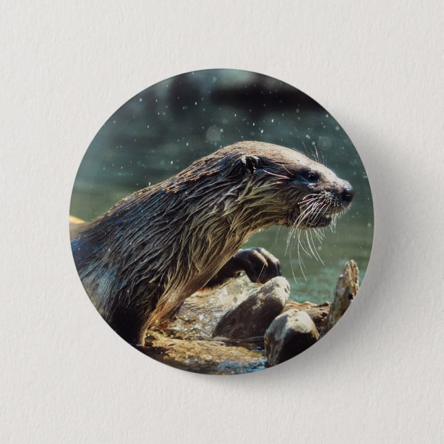 River Otter Animal-lover's Wildlife Photo 6 Cm Round Badge (Front)