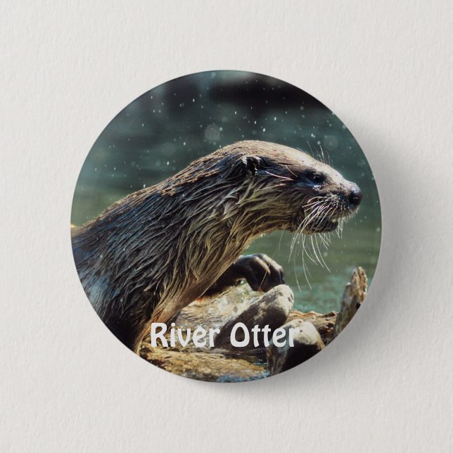 River Otter Animal-lover's Wildlife Photo 6 Cm Round Badge (Front)