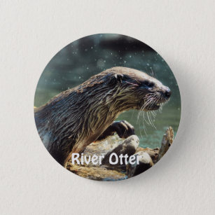 River Otter Animal-lover's Wildlife Photo 6 Cm Round Badge