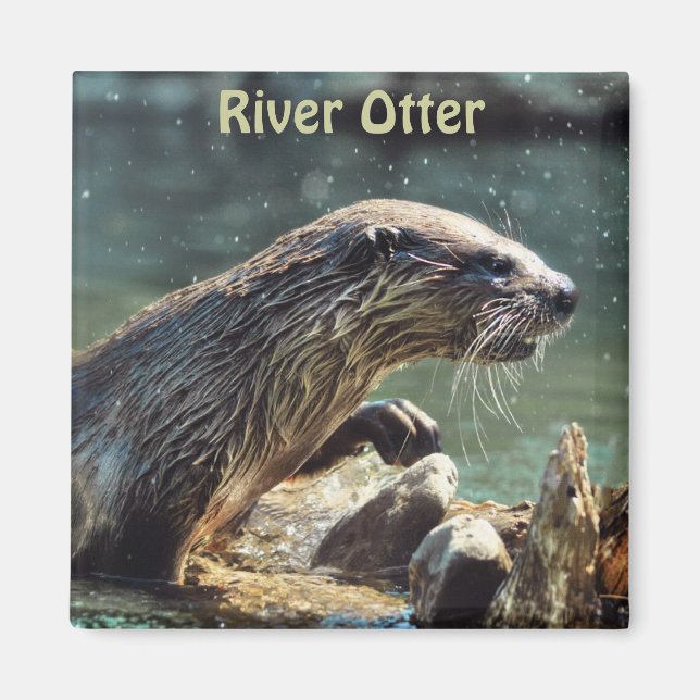 River Otter Animal-lover's Wildlife Photo Magnet (Front)