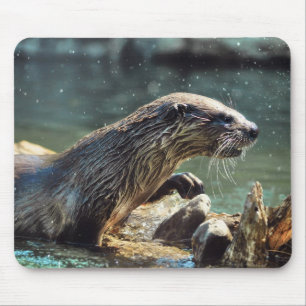 River Otter Animal-lover's Wildlife Photo Mouse Mat