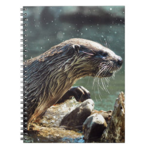 River Otter Animal-lover's Wildlife Photo Notebook