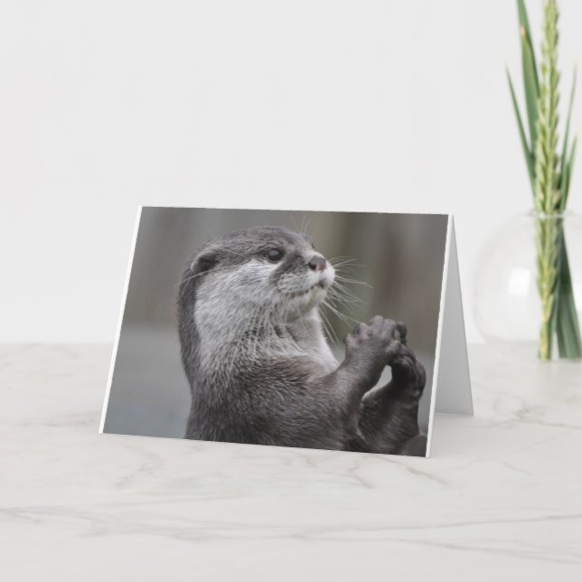 River Otter Card (Front)