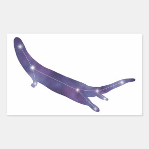 River Otter Constellation Sticker