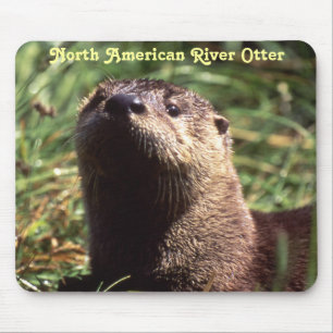 River Otter Up Close and Personal Mousepad