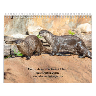 River Otters 2026 Calendar
