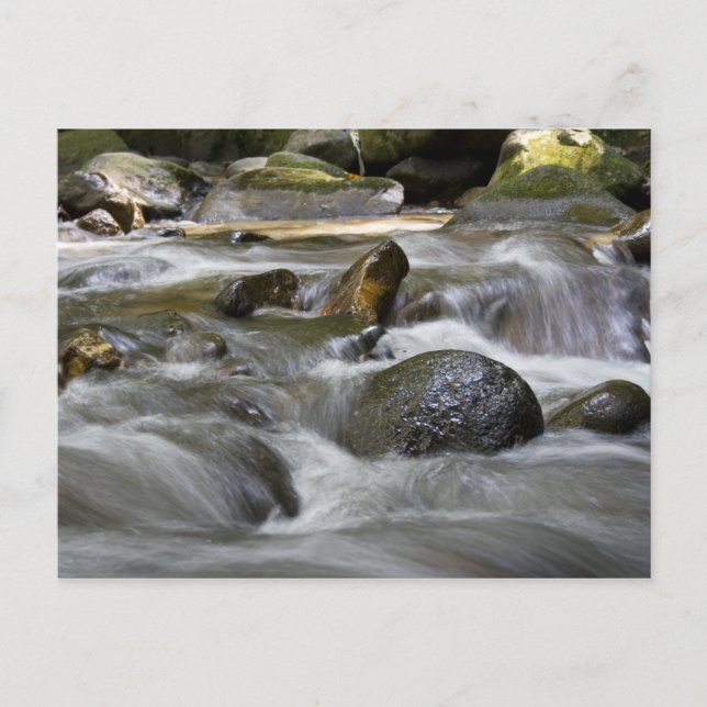 River Postcard (Front)