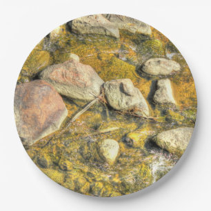 River Rocks Paper Plate