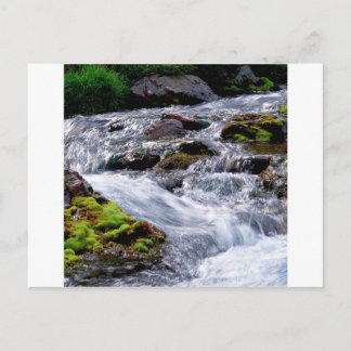 River Rushing Georgia Postcard