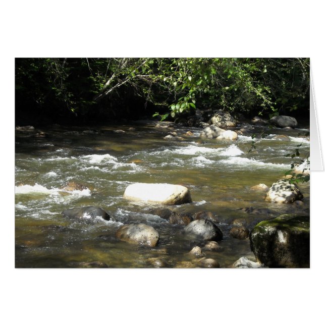 River Scene (Front Horizontal)