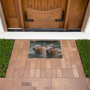 "River Serenity: Capybaras Swimming in the Flow" Doormat