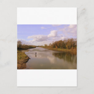 River Shannon Postcard