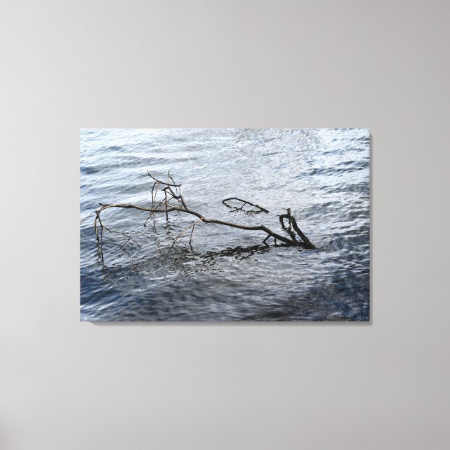 River, Still life Canvas Print (Front)