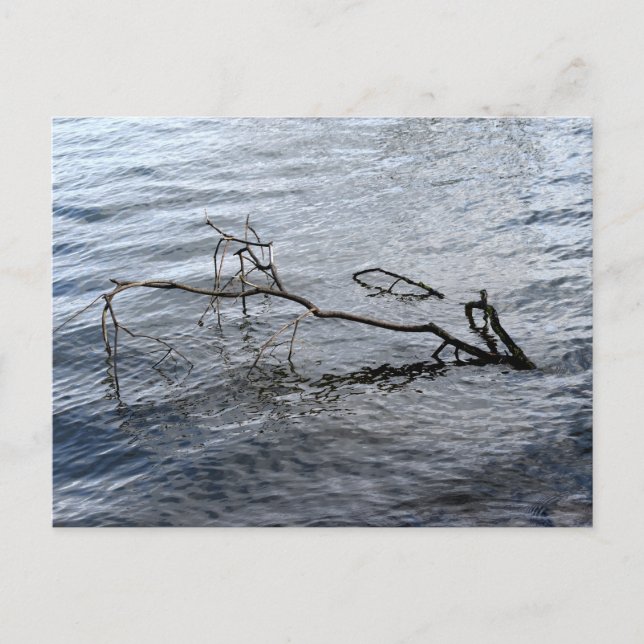 River , Still life Postcard (Front)