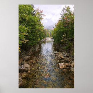 River Stream Through Forest Nature Poster