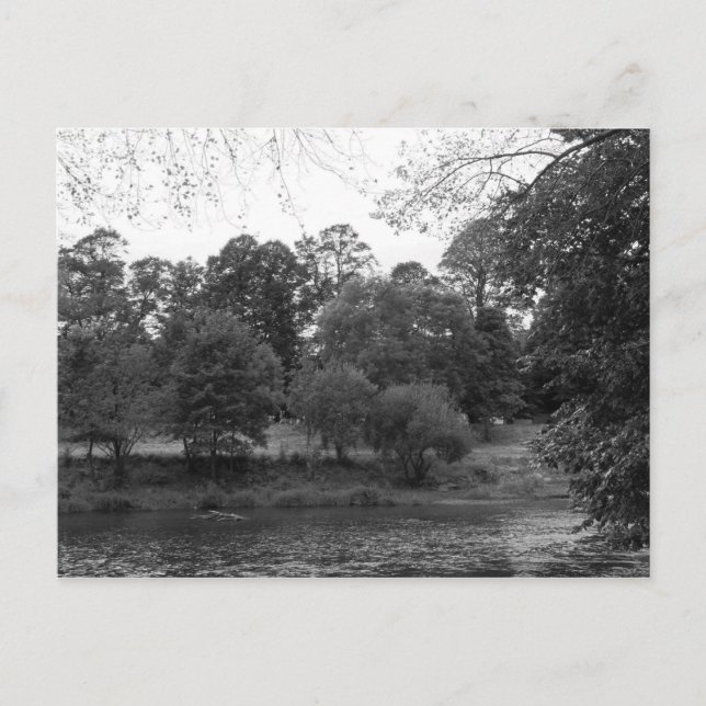 River Taff at Bute Park, Cardiff - BW Postcard (Front)
