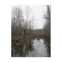 River Through the Wilderness