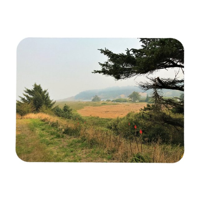 River Trail at Cape Blanco, Oregon Coast Magnet (Horizontal)