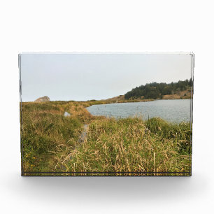 River Trail at Cape Blanco, Oregon Coast Photo Block