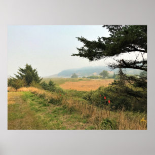 River Trail at Cape Blanco, Oregon Coast Poster