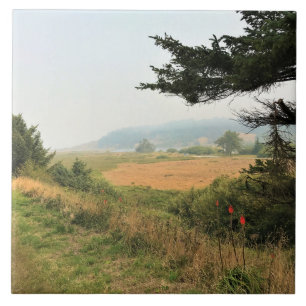 River Trail at Cape Blanco, Oregon Coast Tile
