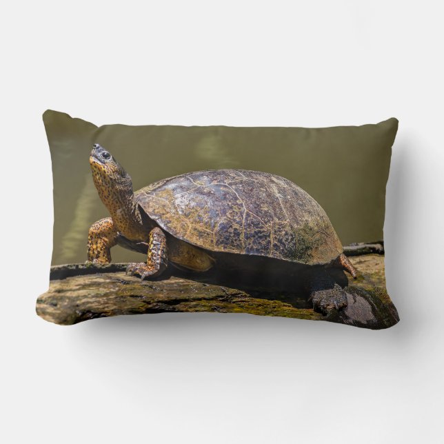 River Turtle at Tortuguero - Costa Rica Lumbar Cushion (Front)