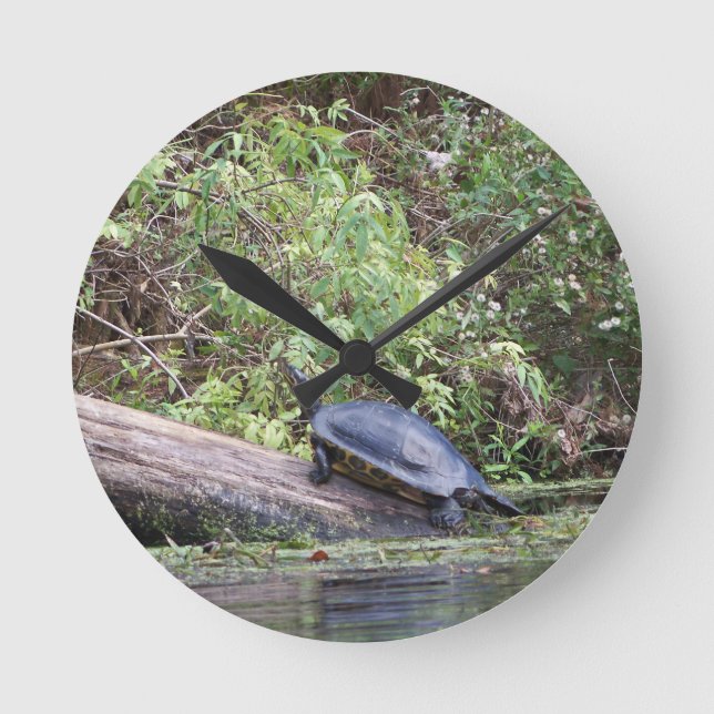 River turtle round clock (Front)