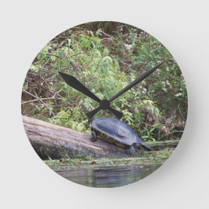 River turtle round clock