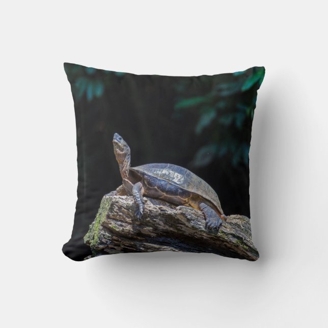 River Turtle sunbathing at Tortuguero - Costa Rica Cushion (Front)