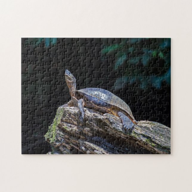 River Turtle sunbathing at Tortuguero - Costa Rica Jigsaw Puzzle (Horizontal)