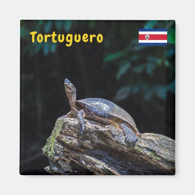 River Turtle sunbathing at Tortuguero - Costa Rica Magnet (Front)