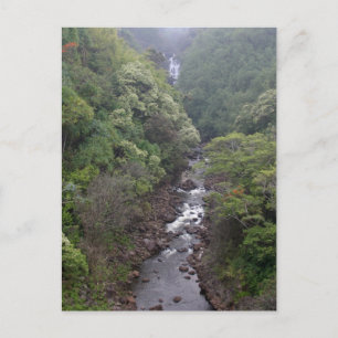 River Valley Near Hilo, Hawaii Postcard