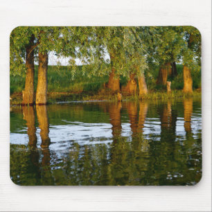 River Water and Trees Mouse Mat