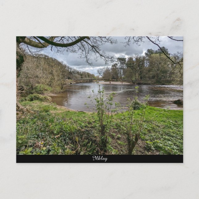 River Wharfe Postcard (Front)