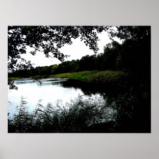 River with trees and reed photo poster