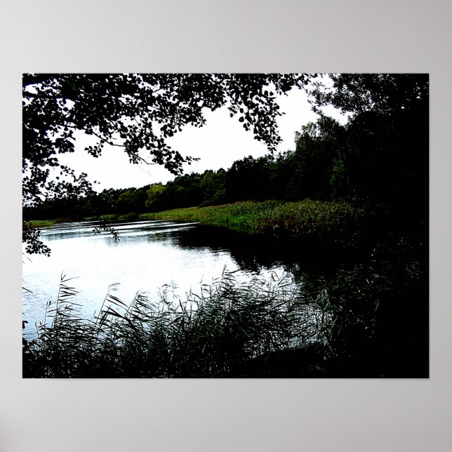 River with trees and reed photo poster (Front)