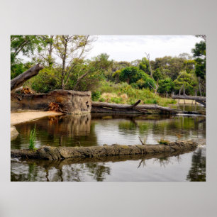 Riverbank Landscape Reflections Lush Greenery Poster